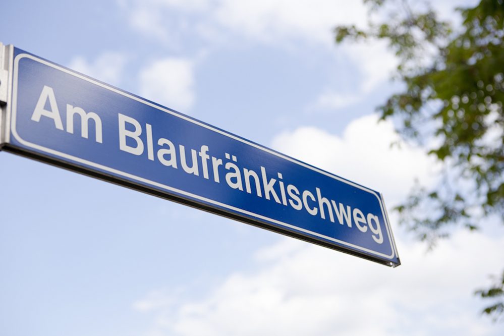 web_bfweg11