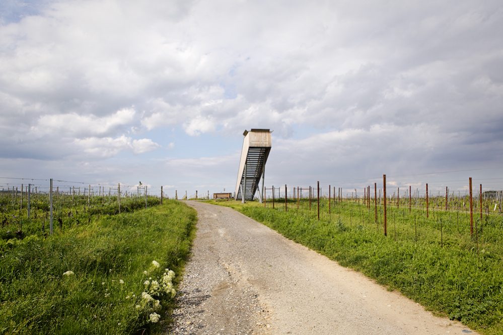 Blaufränkischweg