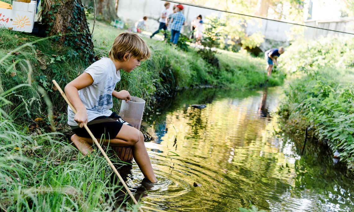 Kinderprogramm_Schloss-Lackenbach_Naturerlebnis-Wasser-Baum-Wiese_c-Cornelia-Fenz