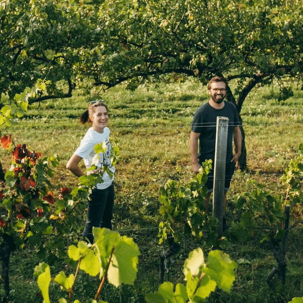 Weingut Weninger