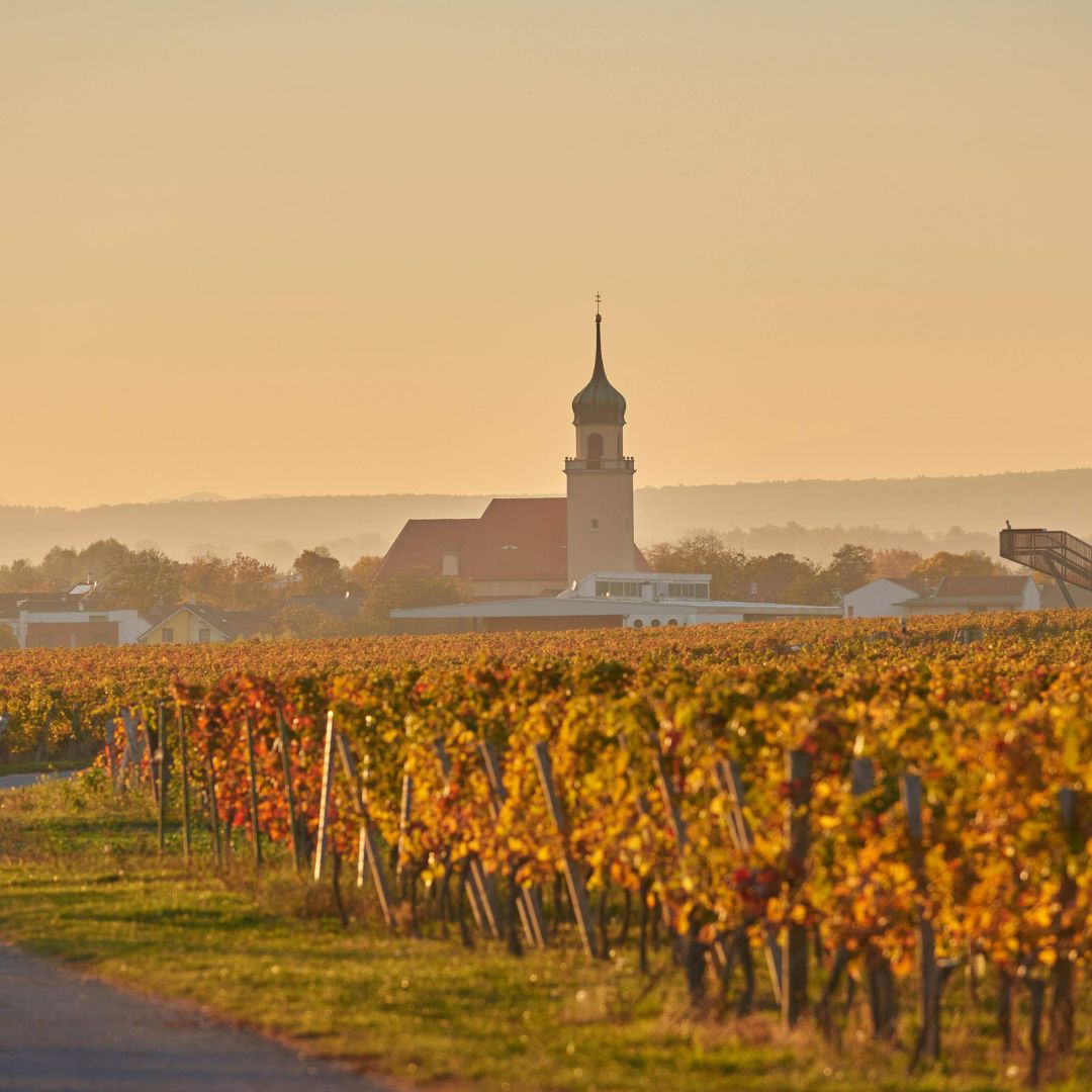 Horitschon im Herbst