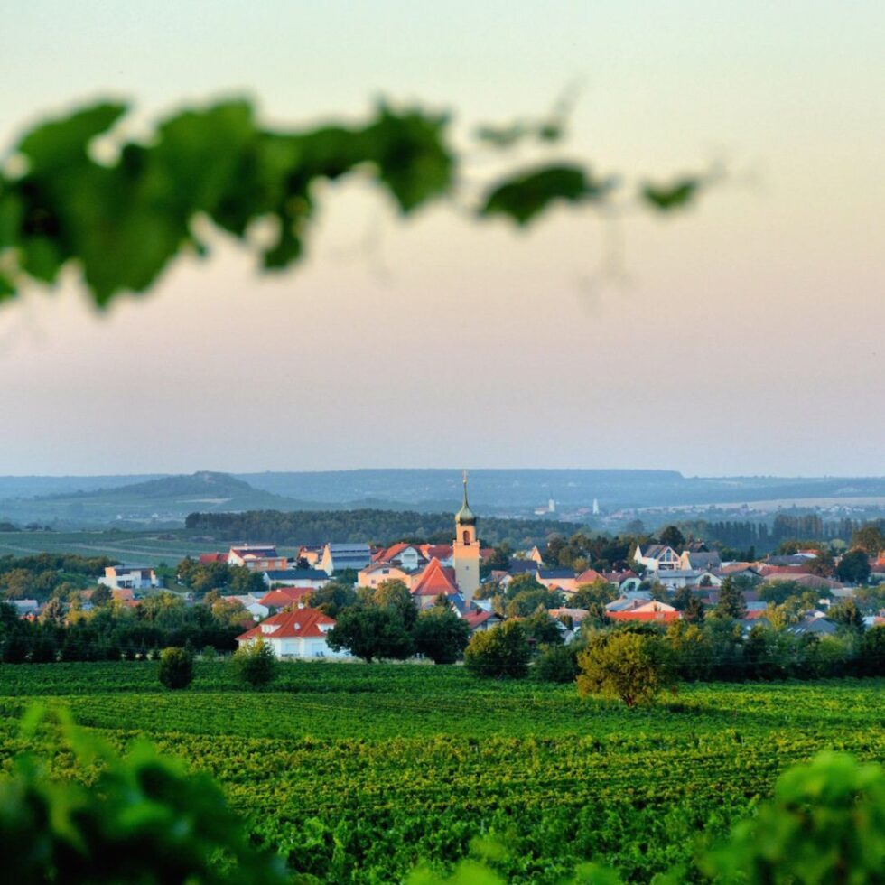 Horitschon mit grünen Weingärten und der Kirche